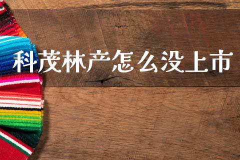 科茂林产怎么没上市_https://wap.letulww.com_投资管理_第1张