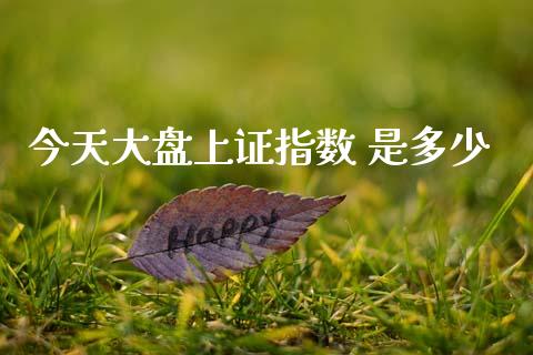今天大盘上证指数 是多少_https://wap.letulww.com_外汇交易_第1张