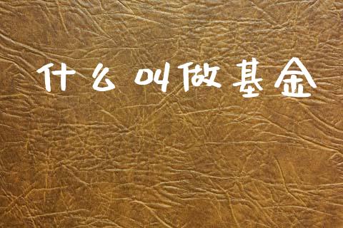 什么叫做基金_https://wap.letulww.com_投资管理_第1张