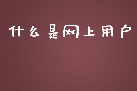 什么是网上用户_https://wap.letulww.com_投资管理_第1张
