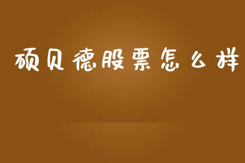 硕贝德股票怎么样_https://wap.letulww.com_融资租赁_第1张
