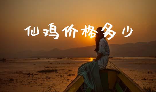 仙鸡价格多少_https://wap.letulww.com_融资租赁_第1张