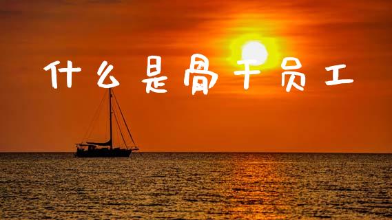 什么是骨干员工_https://wap.letulww.com_投资策略_第1张