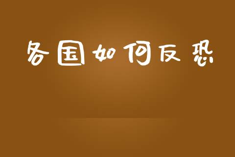 各国如何反恐_https://wap.letulww.com_投资策略_第1张