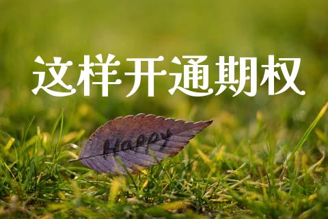 这样开通期权_https://wap.letulww.com_投资策略_第1张