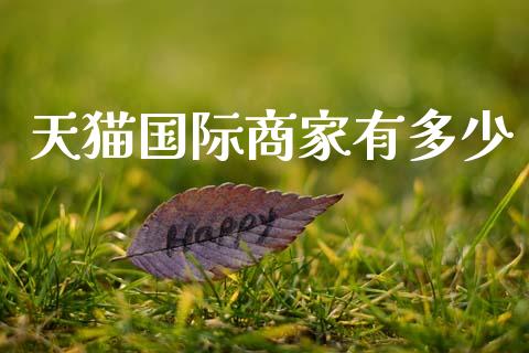 天猫国际商家有多少_https://wap.letulww.com_投资管理_第1张
