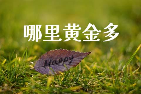哪里黄金多_https://wap.letulww.com_融资租赁_第1张