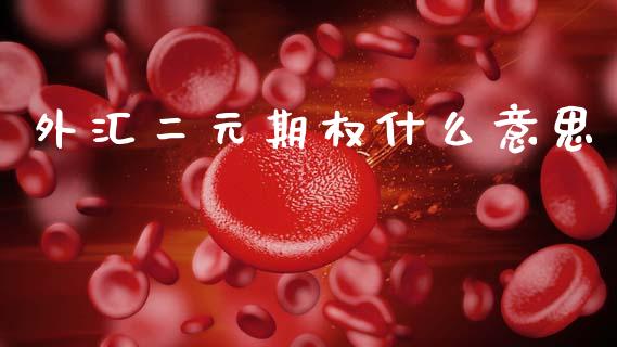 外汇二元期权什么意思_https://wap.letulww.com_投资管理_第1张