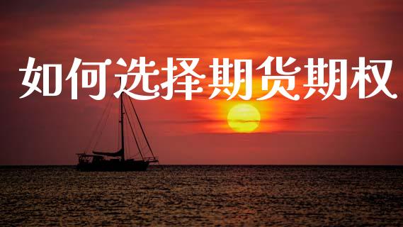 如何选择期货期权_https://wap.letulww.com_融资租赁_第1张