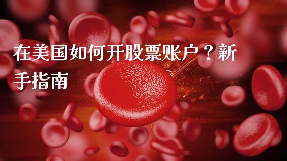 在美国如何开股票账户？新手指南_https://wap.letulww.com_投资策略_第1张