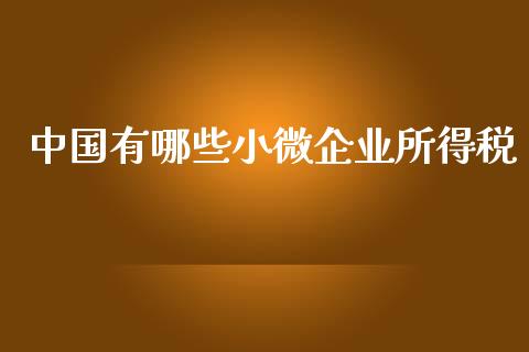 中国有哪些小微企业所得税_https://wap.letulww.com_投资策略_第1张