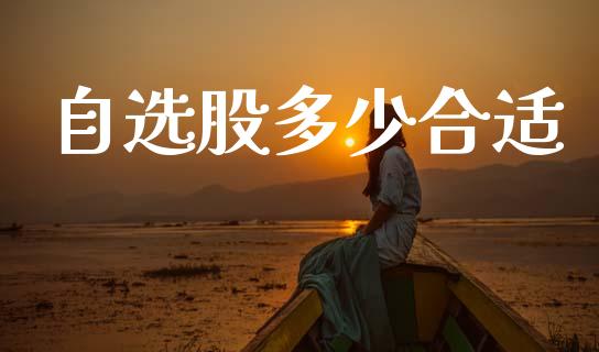自选股多少合适_https://wap.letulww.com_融资租赁_第1张