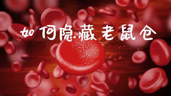 如何隐藏老鼠仓_https://wap.letulww.com_投资管理_第1张