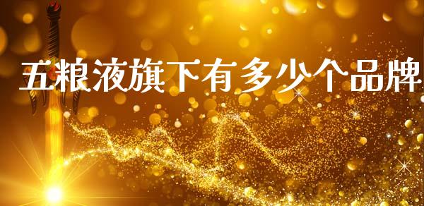 五粮液旗下有多少个品牌_https://wap.letulww.com_投资策略_第1张