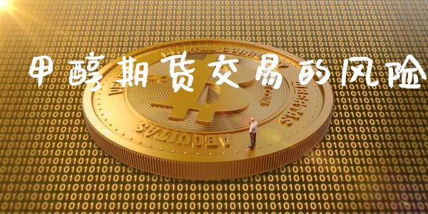 甲醇期货交易的风险_https://wap.letulww.com_投资管理_第1张