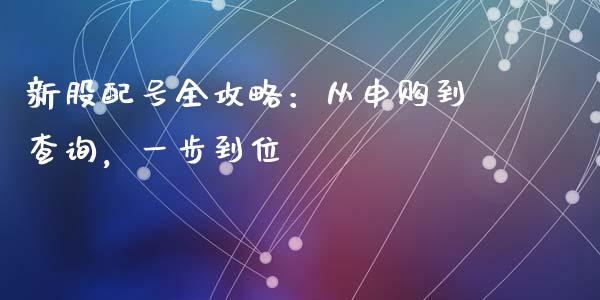 新股配号全攻略：从申购到查询，一步到位_https://wap.letulww.com_融资租赁_第1张