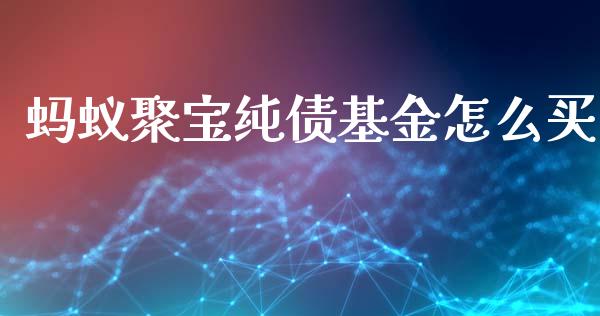 蚂蚁聚宝纯债基金怎么买_https://wap.letulww.com_外汇交易_第1张