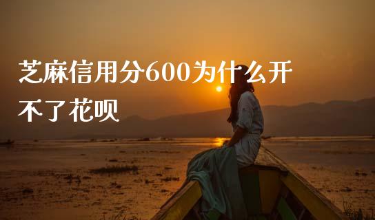 芝麻信用分600为什么开不了花呗_https://wap.letulww.com_投资策略_第1张