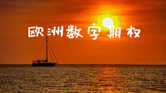 欧洲数字期权_https://wap.letulww.com_投资策略_第1张