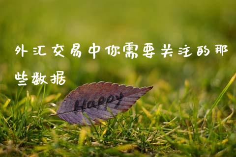 外汇交易中你需要关注的那些数据_https://wap.letulww.com_融资租赁_第1张