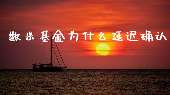 数米基金为什么延迟确认_https://wap.letulww.com_投资管理_第1张