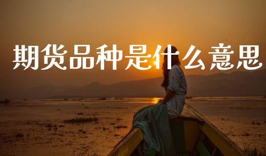 期货品种是什么意思_融资租赁_第1张_外汇交易_投资策略_融资租赁_投资管理 期货品种是什么意思_https://wap.letulww.com_融资租赁_第1张