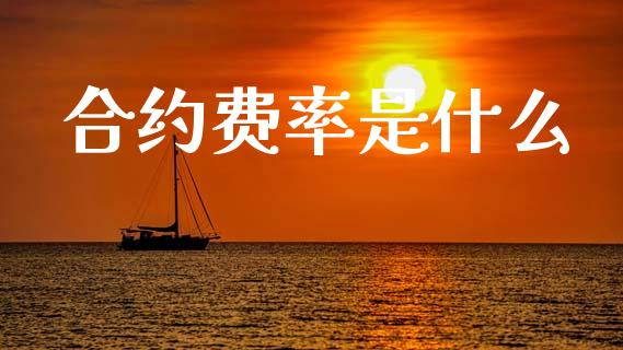 合约费率是什么_https://wap.letulww.com_投资策略_第1张