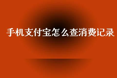 手机支付宝怎么查消费记录_https://wap.letulww.com_外汇交易_第1张