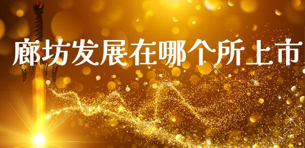 廊坊发展在哪个所上市_https://wap.letulww.com_投资管理_第1张