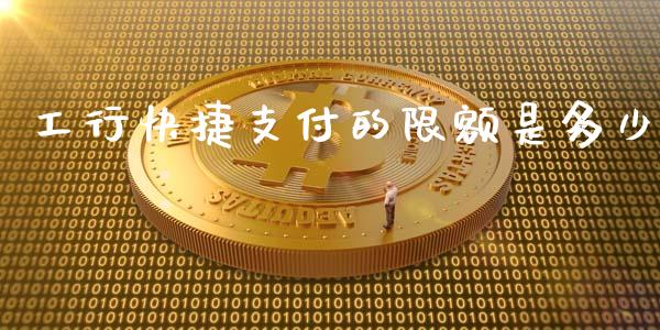 工行快捷支付的限额是多少_https://wap.letulww.com_外汇交易_第1张