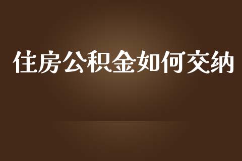 住房公积金如何交纳_https://wap.letulww.com_投资管理_第1张