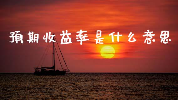 预期收益率是什么意思_https://wap.letulww.com_融资租赁_第1张