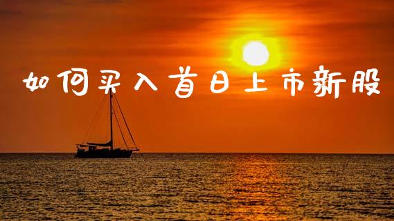 如何买入首日上市新股_https://wap.letulww.com_投资策略_第1张