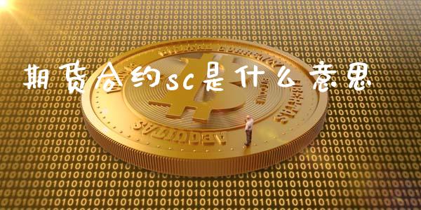 期货合约sc是什么意思_https://wap.letulww.com_投资策略_第1张