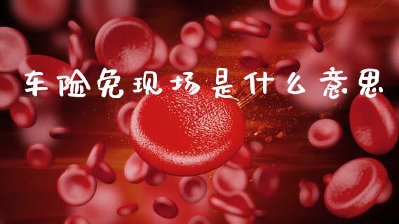 车险免现场是什么意思_https://wap.letulww.com_外汇交易_第1张