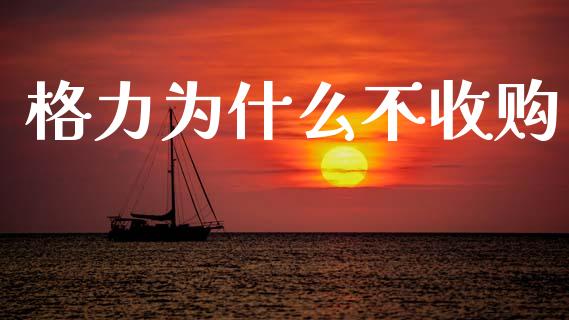 格力为什么不收购_https://wap.letulww.com_投资管理_第1张
