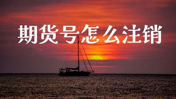 期货号怎么注销_https://wap.letulww.com_投资策略_第1张