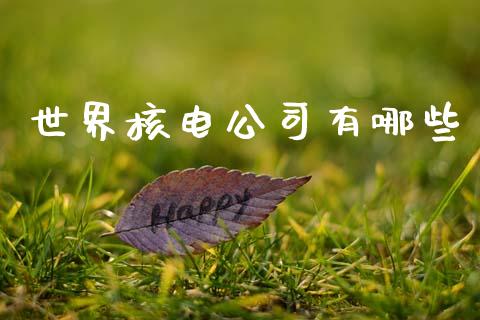 世界核电公司有哪些_https://wap.letulww.com_投资策略_第1张