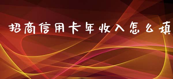 招商信用卡年收入怎么填_https://wap.letulww.com_投资管理_第1张