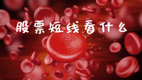 股票短线看什么_https://wap.letulww.com_融资租赁_第1张