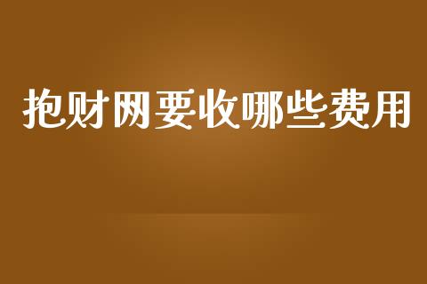 抱财网要收哪些费用_https://wap.letulww.com_投资管理_第1张