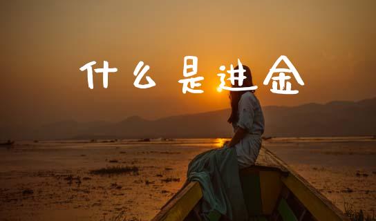 什么是进金_https://wap.letulww.com_投资管理_第1张