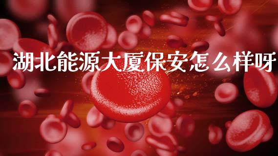 湖北能源大厦保安怎么样呀_https://wap.letulww.com_投资策略_第1张