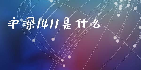 沪深1411是什么_https://wap.letulww.com_投资策略_第1张