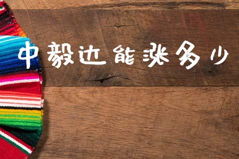 中毅达能涨多少_https://wap.letulww.com_融资租赁_第1张