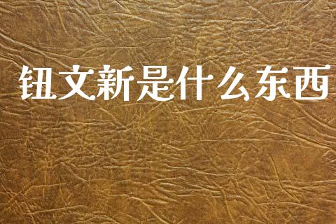 钮文新是什么东西_https://wap.letulww.com_融资租赁_第1张
