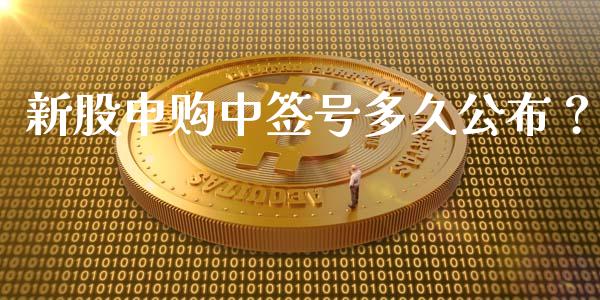 新股申购中签号多久公布？_https://wap.letulww.com_投资策略_第1张