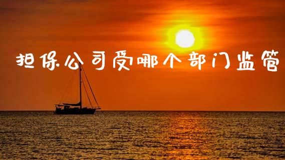 担保公司受哪个部门监管_https://wap.letulww.com_投资管理_第1张