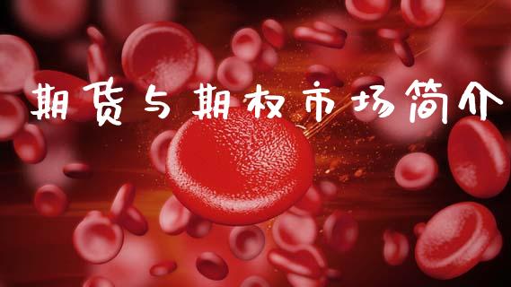期货与期权市场简介_https://wap.letulww.com_外汇交易_第1张