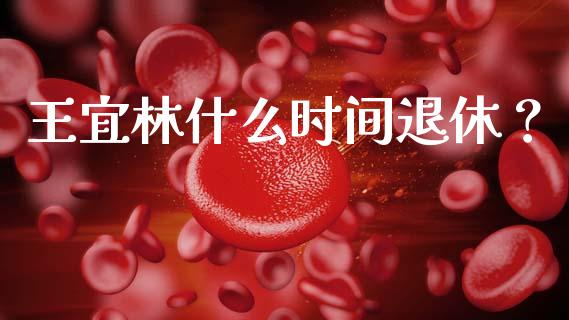 王宜林什么时间退休？_https://wap.letulww.com_投资策略_第1张